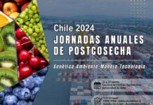 INIA y U. de Chile invitan a revisar las últimas tendencias en manejo y tecnología de postcosecha de fruta 